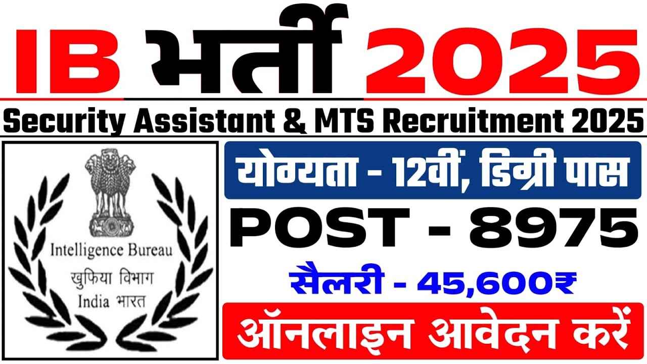 IB Vacancy
